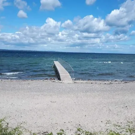 4 Person In * هادرسليف